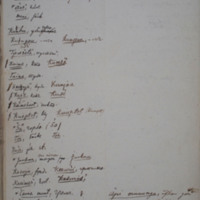 MCXIJS4_246.jpg